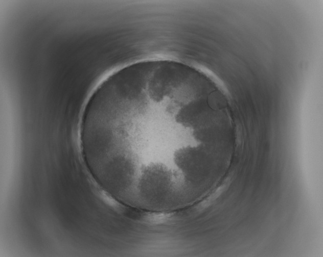 X0000113271278200909101512