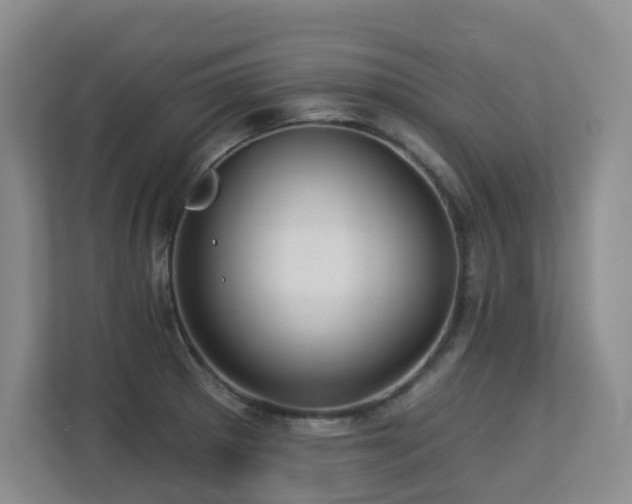 X0000113271281200909101512