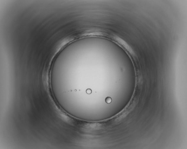 X0000113271282200909101512