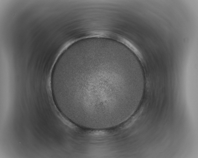 X0000113271283200909101512
