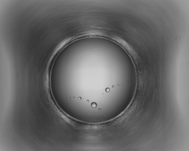 X0000113271286200909101511