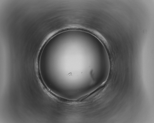 X0000113271287200909101511