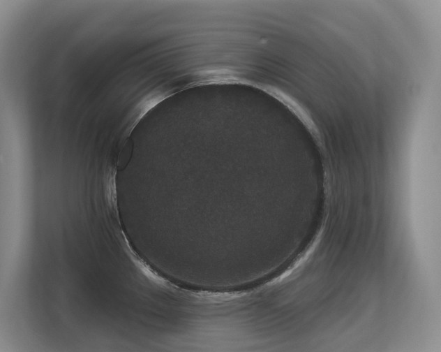 X0000113271289200909101511