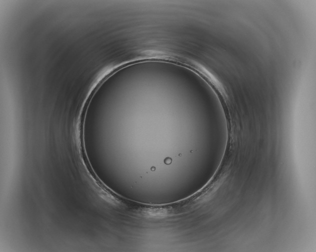 X0000113271291200909101511