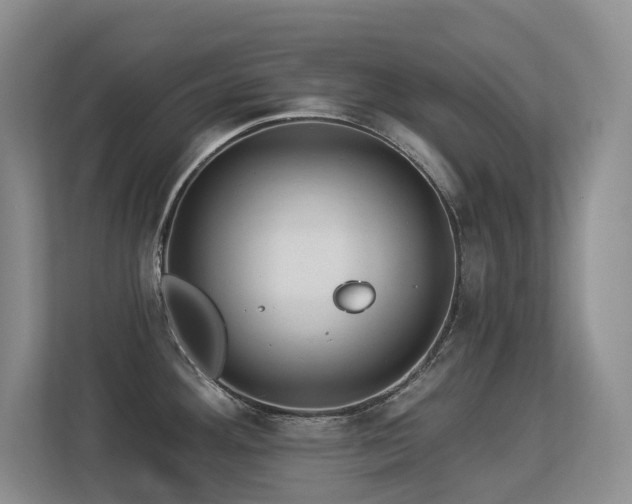 X0000113271292200909101511