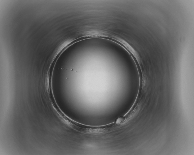 X0000113271293200909101511
