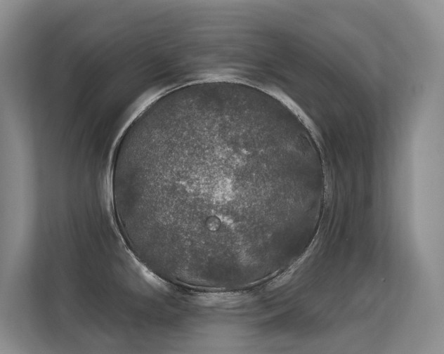 X0000113271294200909101511