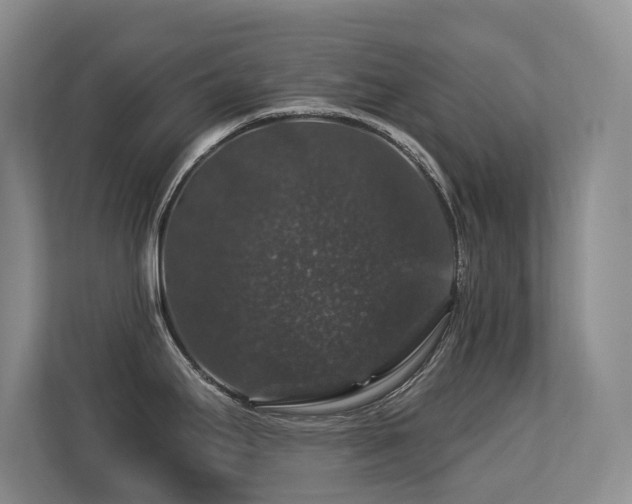 X0000113271295200909101511