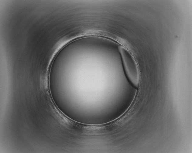 X0000113271296200909101511