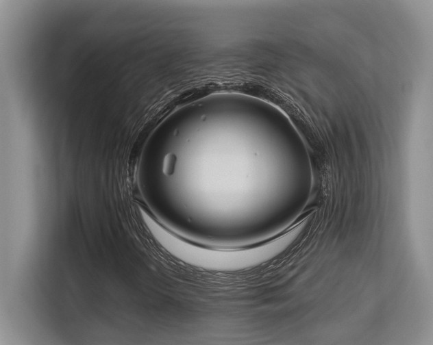 X0000113271298200909101511