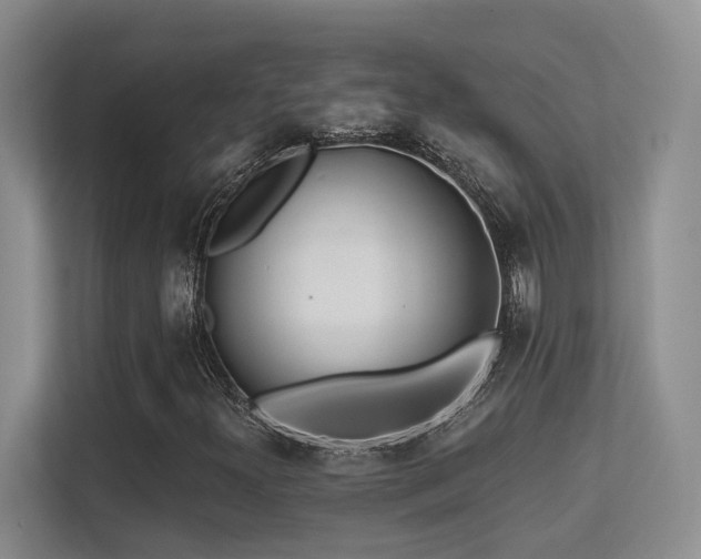 X0000113271300200909101511