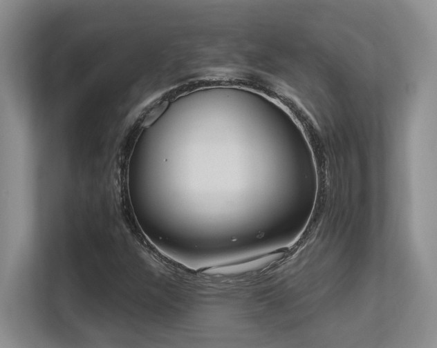 X0000113271304200909101511