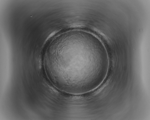 X0000113271306200909101511