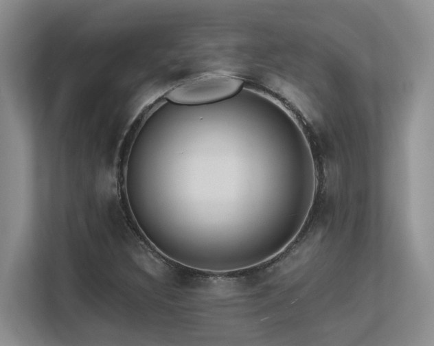 X0000113271308200909101511