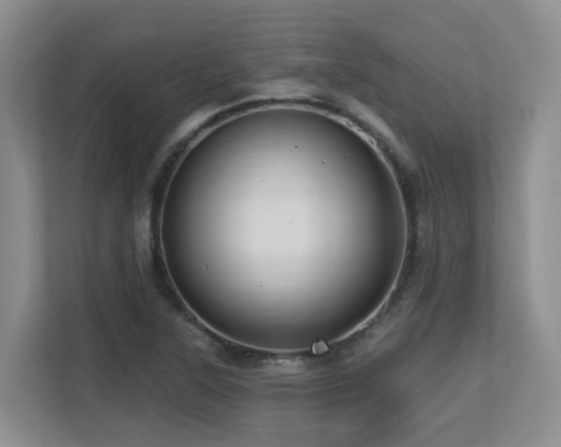 X0000113271315200909101511