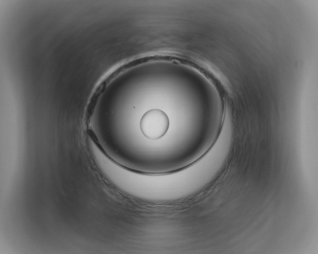 X0000113271316200909101511