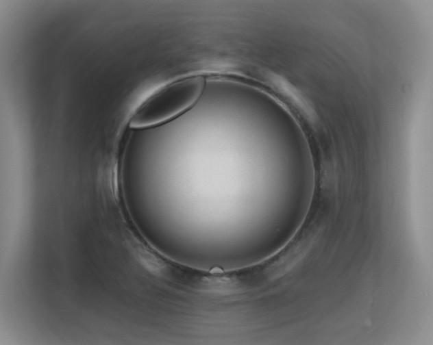 X0000113271320200909101511