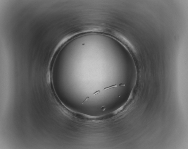 X0000113271324200909101511