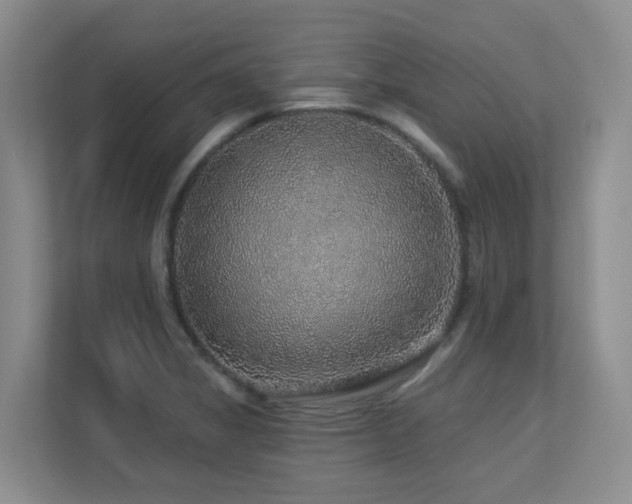X0000113271325200909101511