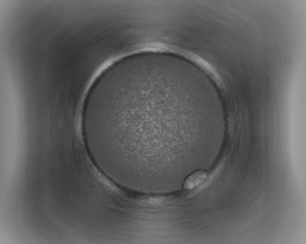 X0000113271326200909101511