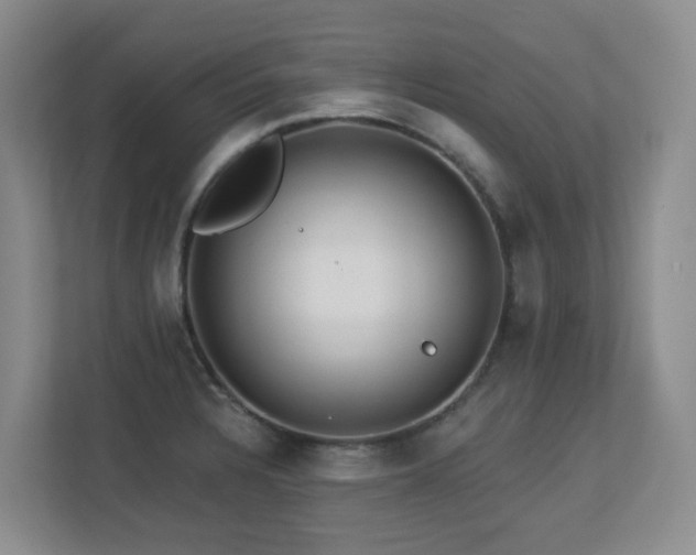 X0000113271328200909101511