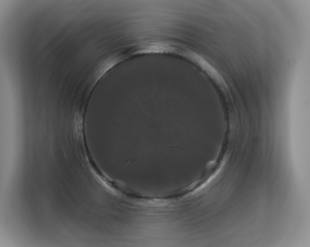 X0000113271329200909101511