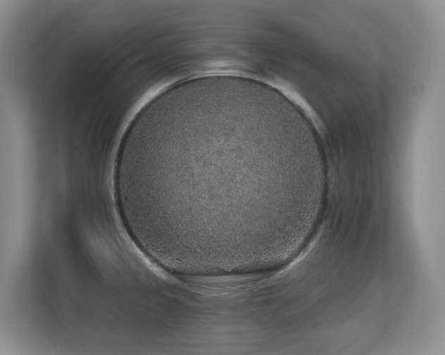 X0000113271333200909101511
