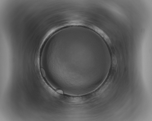 X0000113271334200909101511