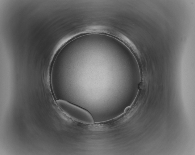 X0000113271336200909101511