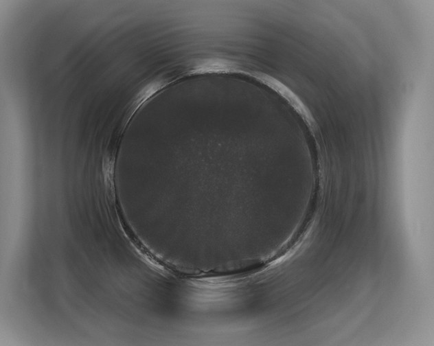 X0000113271337200909101511