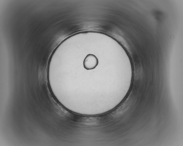 X0000113271338200909101511