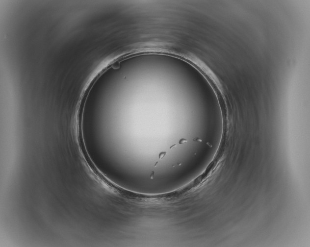 X0000113271341200909101511