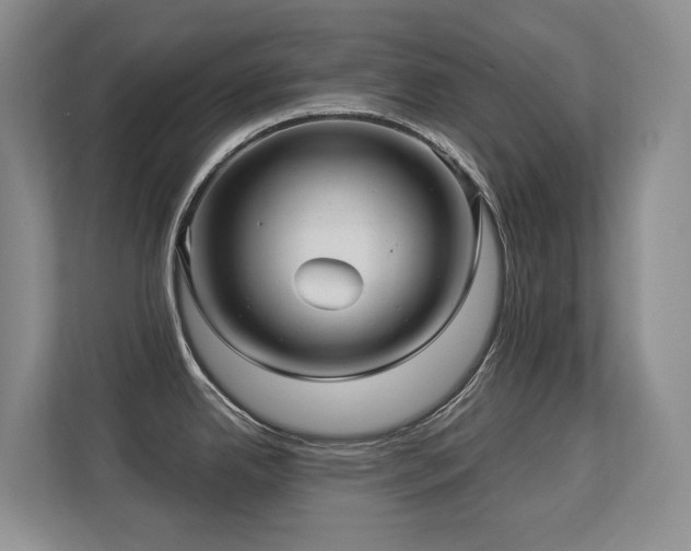 X0000113271342200909101511