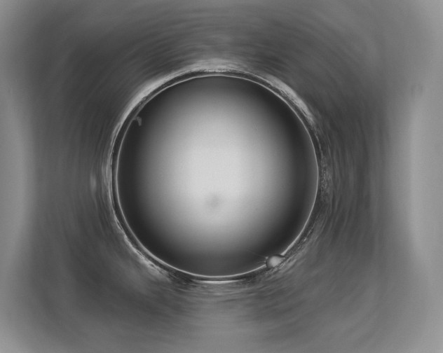 X0000113271343200909101511