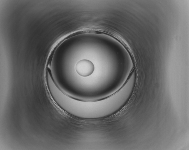 X0000113271344200909101511