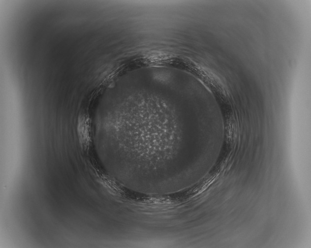X0000113271346200909101511