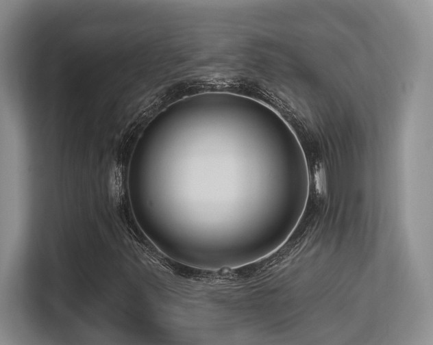 X0000113271347200909101511