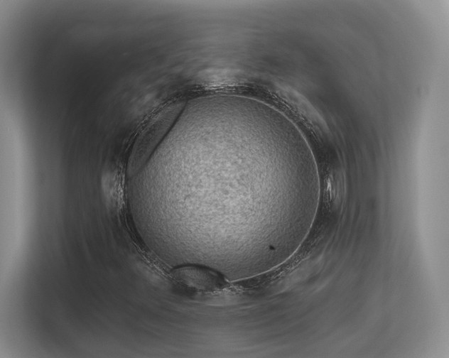 X0000113271348200909101511