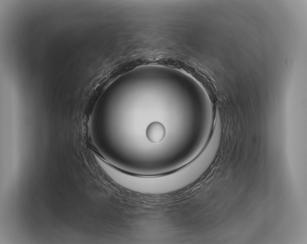 X0000113271349200909101511
