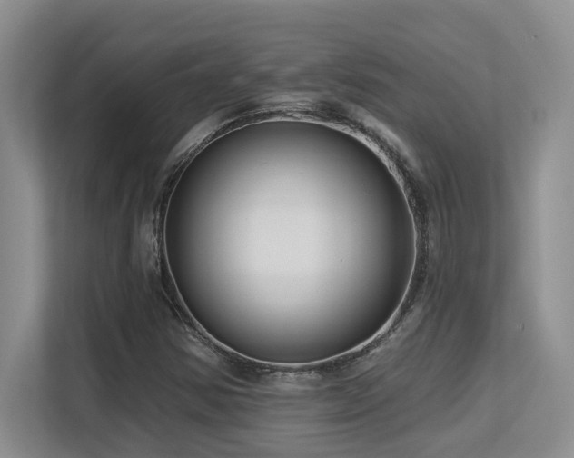 X0000113271354200909101511
