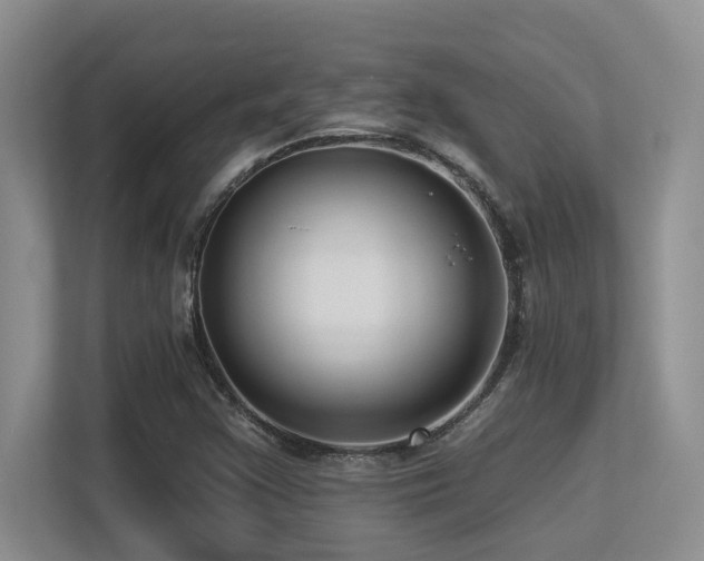 X0000113271355200909101511