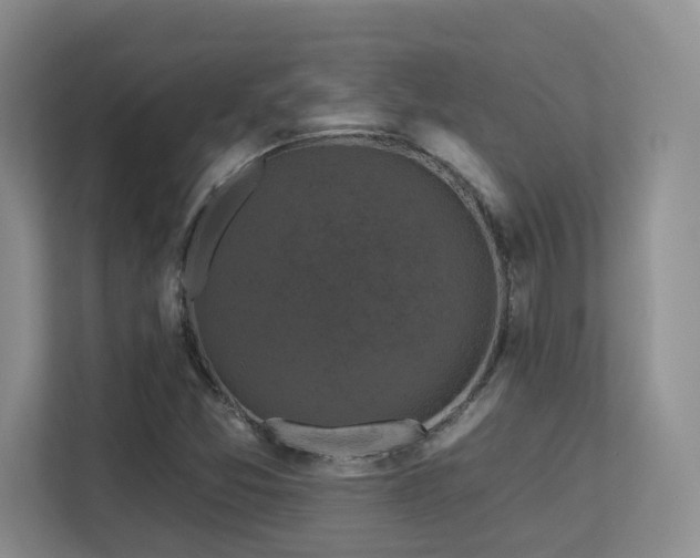 X0000113271357200909101511