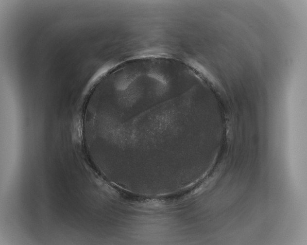 X0000113271358200909101511