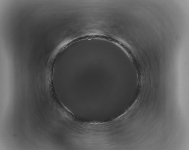 X0000113271359200909101511