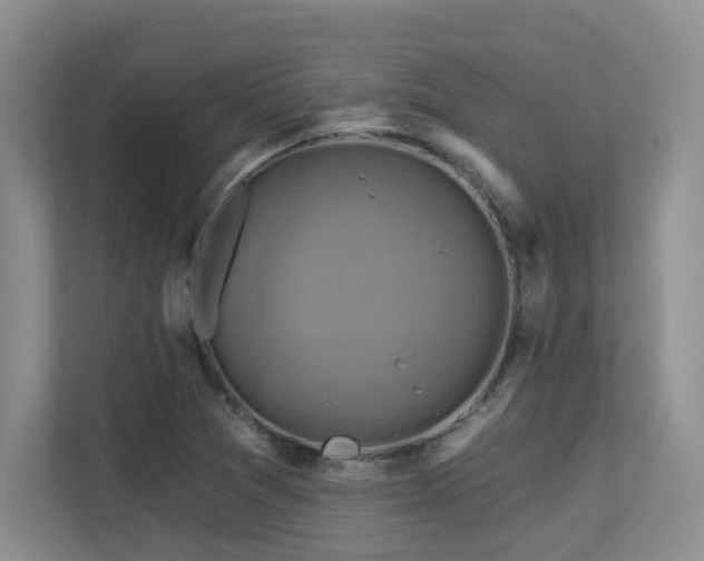 X0000113271361200909101511