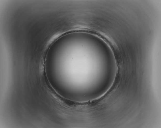 X0000113271363200909101510