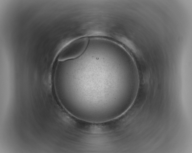 X0000113271364200909101510