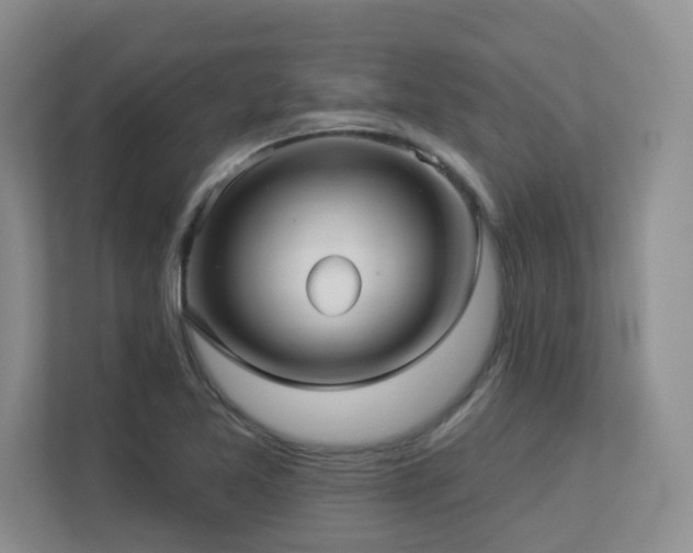 X0000113271365200909101510