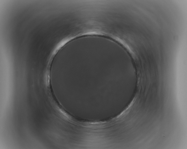 X0000113271367200909101510
