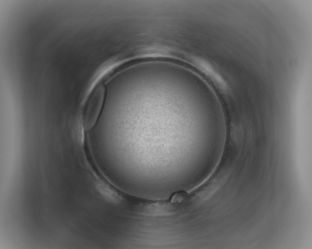 X0000113271368200909101510